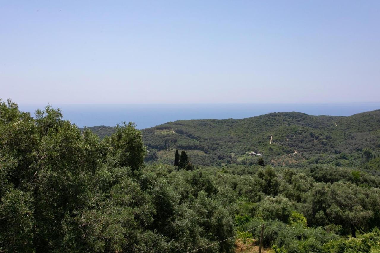 Gaia Apartments I Anthousa  Luaran gambar